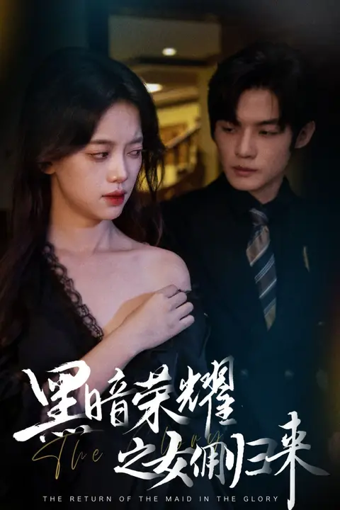 《黑暗荣耀之女佣归来》封面