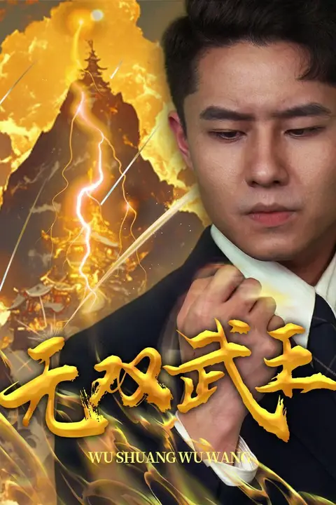 《无双武王》封面
