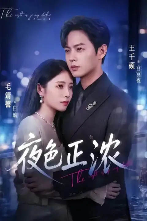 《夜色正浓》封面
