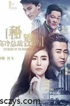 《高冷总裁的秘密》封面