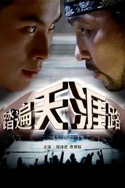 《踏遍天涯路》封面