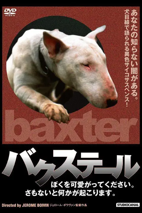 《狗儿怨》封面