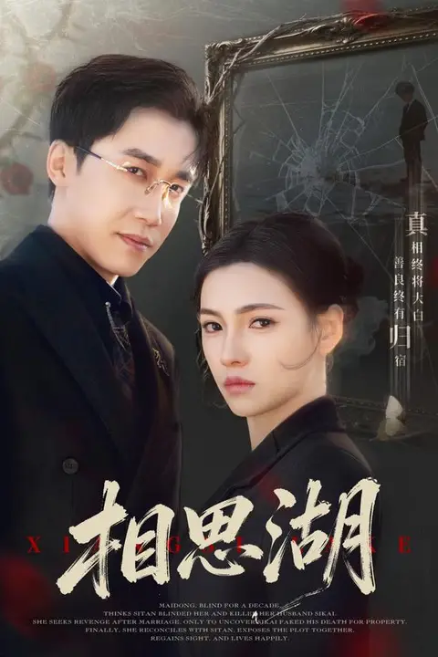 《相思湖》封面