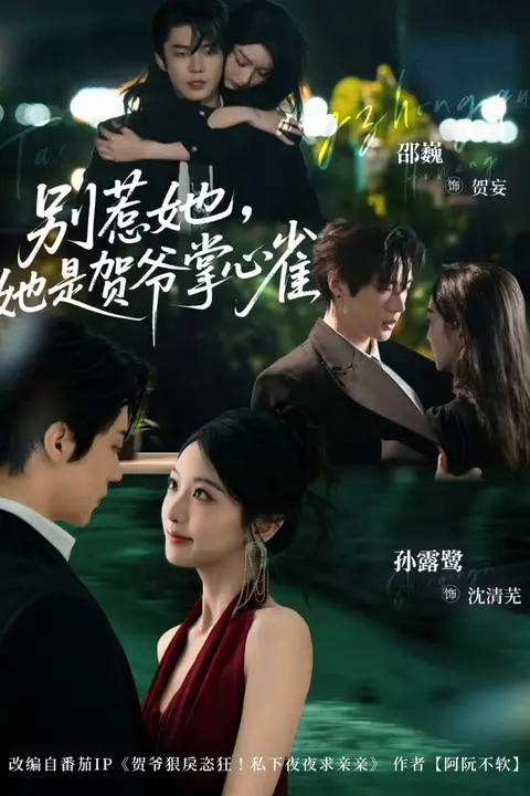 《别惹她,她是贺爷掌心雀》封面