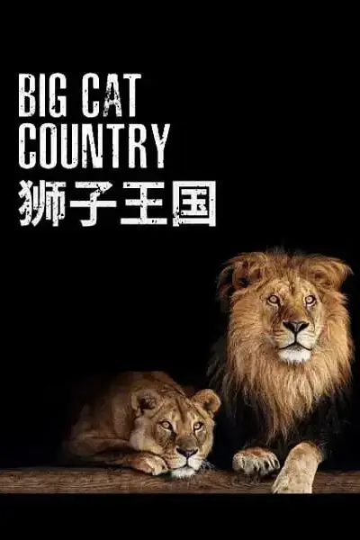 《狮子王国》封面