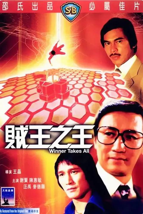 《贼王之王》封面