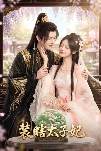 《装瞎太子妃》封面