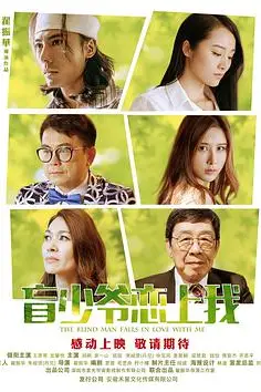 《盲少爷恋上我》封面