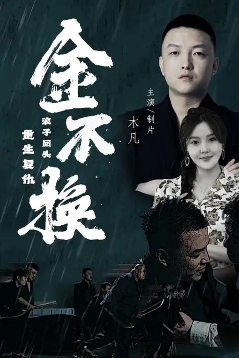 《金不换》封面