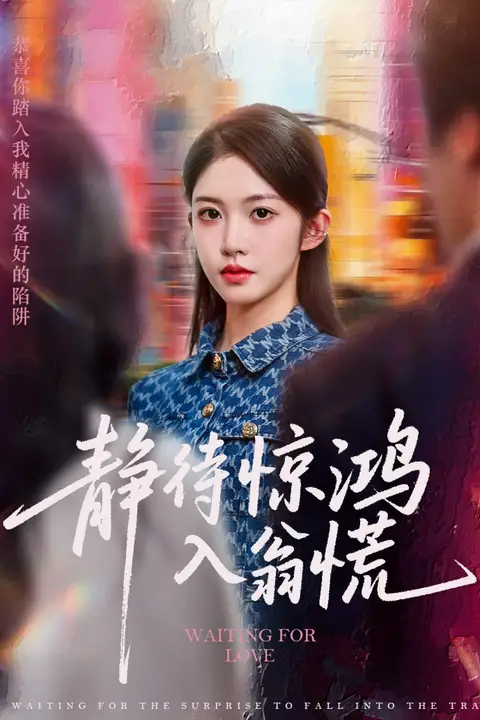 《静待惊鸿入翁慌》封面