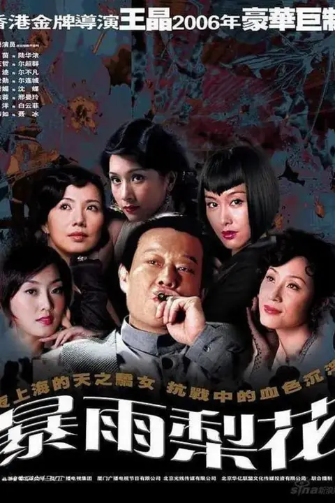 《暴雨梨花》封面