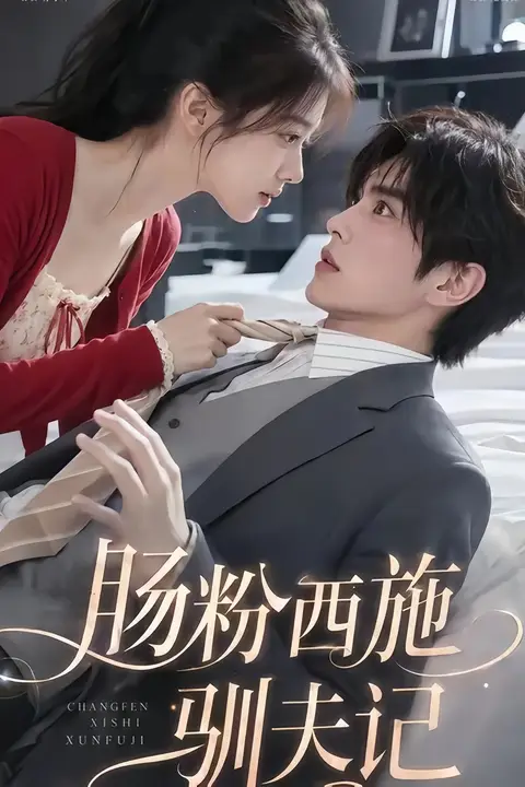 《肠粉西施驯夫记》封面