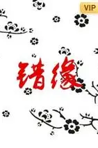 《错缘》封面