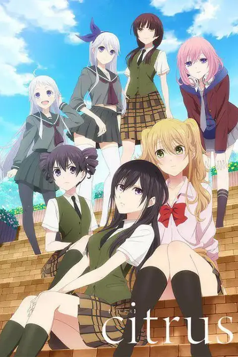 《柑橘味香气》封面