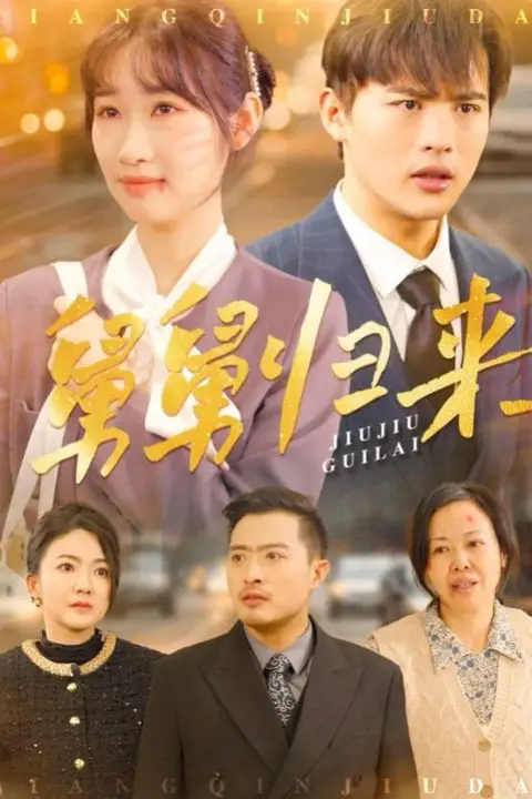 《舅舅归来》封面