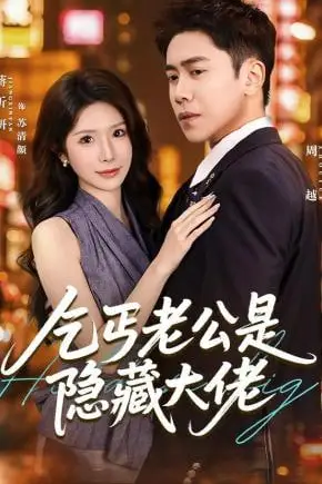 《乞丐老公是隐藏大佬》封面