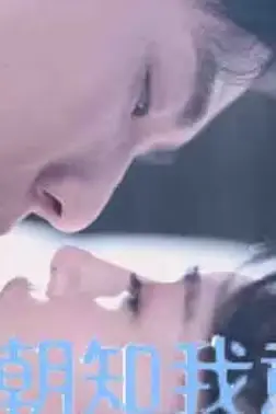 《朝朝知我意》封面