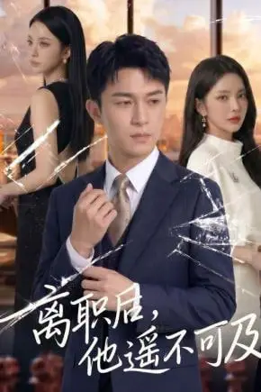 《离职后，他遥不可及》封面