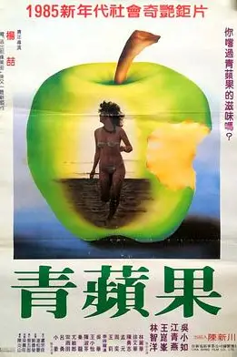 《飞女四人组》封面