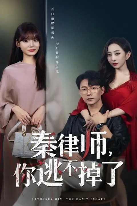 《秦律师你逃不掉了》封面