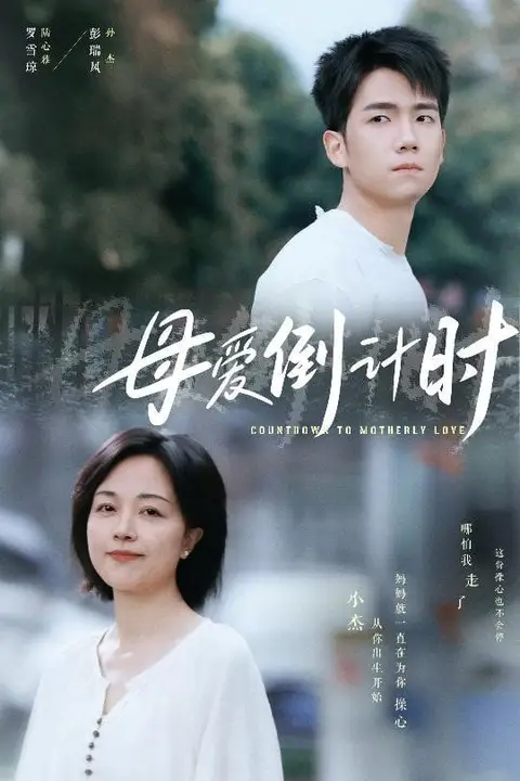 《母爱倒计时》封面