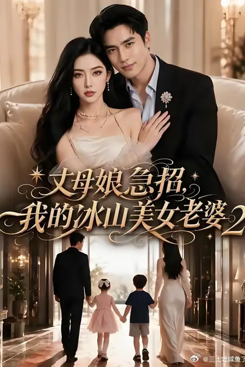 《丈母娘急招，我的冰山美女老婆2》封面