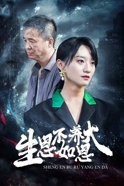《生恩不如养恩大》封面