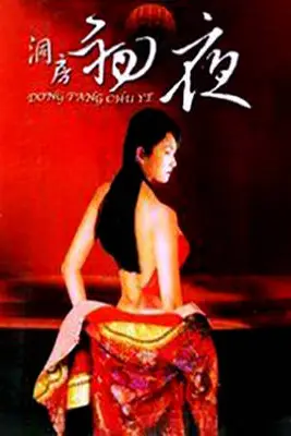 《初夜洞房档案》封面