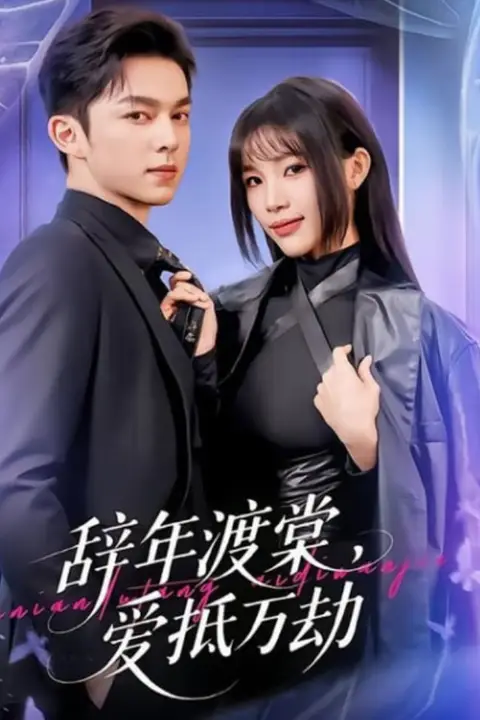 《辞年渡棠,爱抵万劫》封面