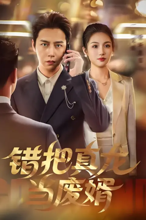 《错把真龙当赘婿》封面