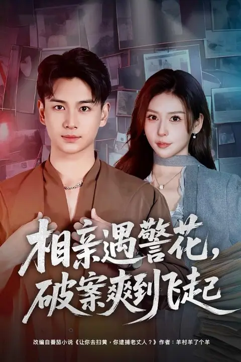 《相亲遇警花，破案爽到飞起》封面