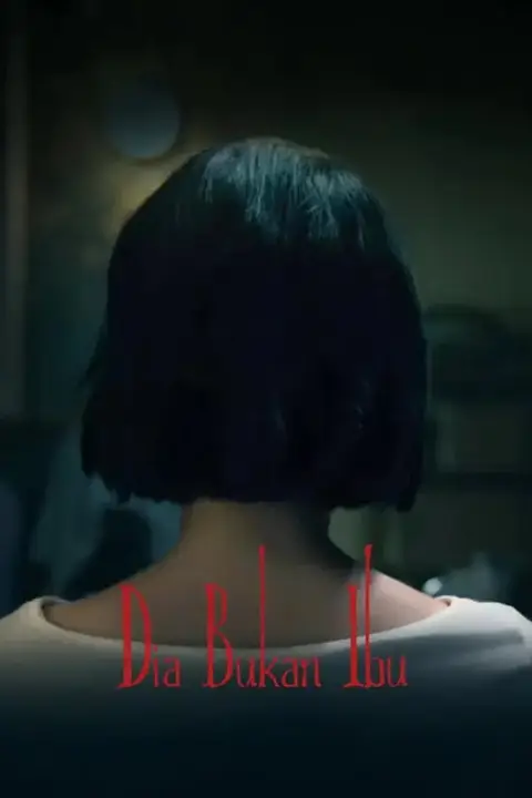 《她不是我妈妈》封面