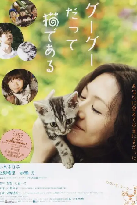 《咕咕是一只猫》封面