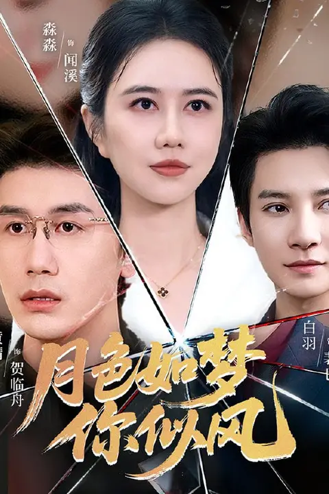 《月色如梦你似风》封面