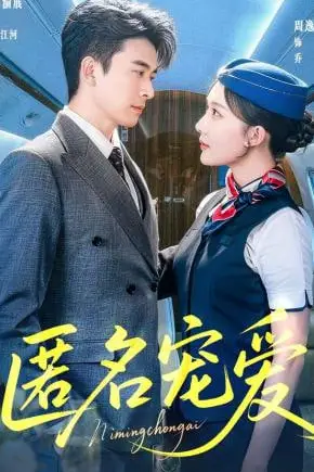 《匿名宠爱》封面