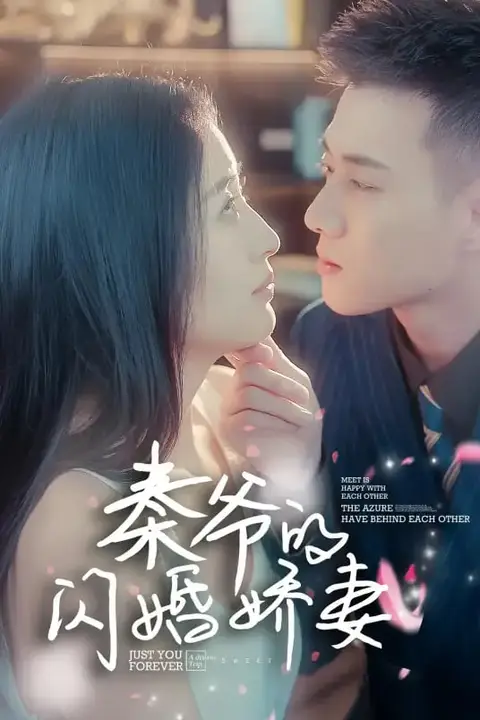 《秦爷的闪婚娇妻》封面