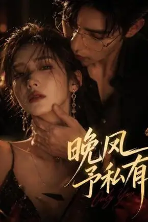 《晚风予私有》封面