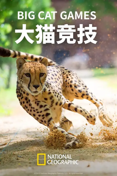 《大猫竞技》封面