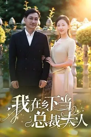 《我在乡下当总裁夫人》封面
