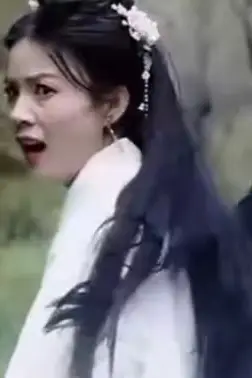 《公主别怕,臣来救驾》封面