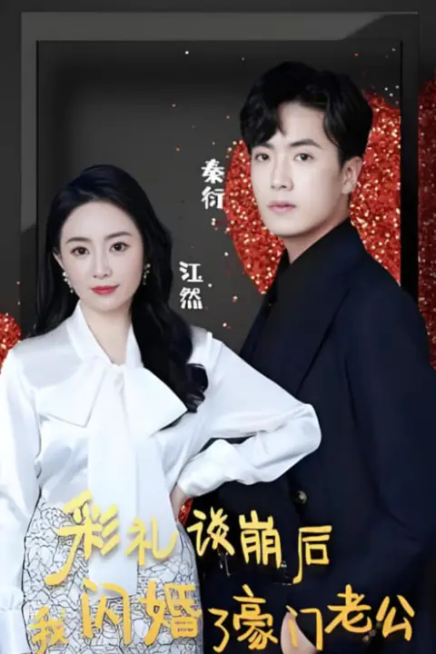 《彩礼谈崩后我闪婚了豪门老公》封面
