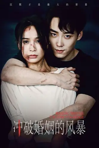 《冲破婚姻的风暴》封面