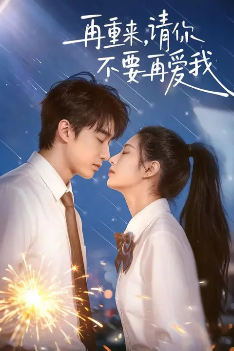 《再重来，请你不要再爱我》封面