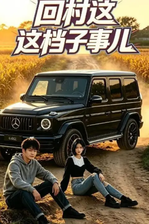 《回村这档子事儿》封面