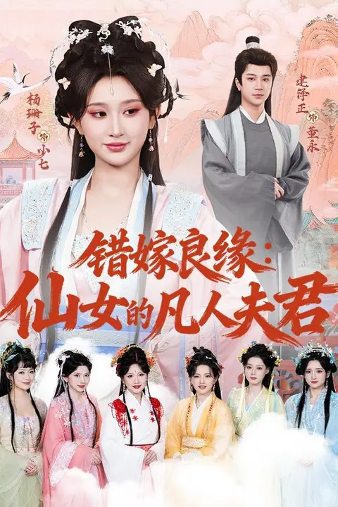 《错嫁良缘：仙女的凡人夫君》封面