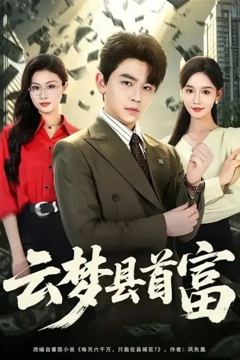 《云梦县首富》封面