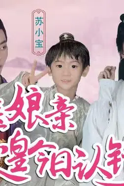 《神医娘亲：父王今日错了么》封面