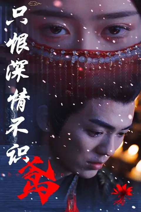 《只恨深情不识鸢》封面