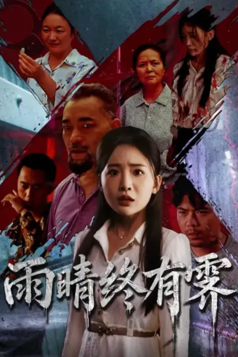 《雨晴终有霁》封面