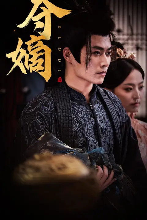 《新:双姝(夺嫡)》封面